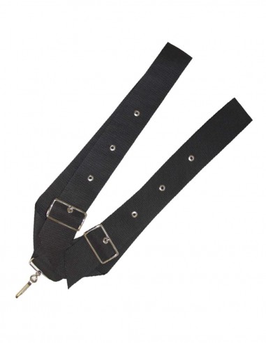 Harness strap with eyelets and buckle